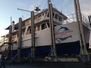 Tekin III at Ulladulla Slipway - Dolphin Watch Cruises