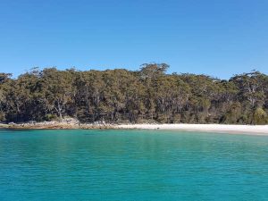 Green Water - Jervis Bay - Dolphin Watch Cruises