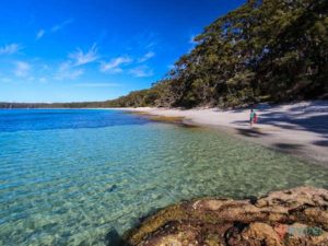 Vanlife Tips - Jervis Bay - Dolphin Watch Cruises