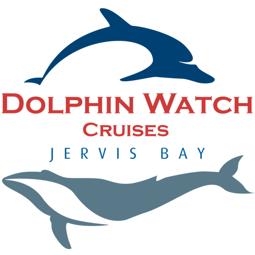 dolphin cruise jervis bay